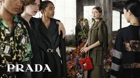 prada roma lavora con noi|Prada work with us.